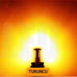 T10 Dipsiz Canbuslu Park Ampulü 12 Ledli Turuncu